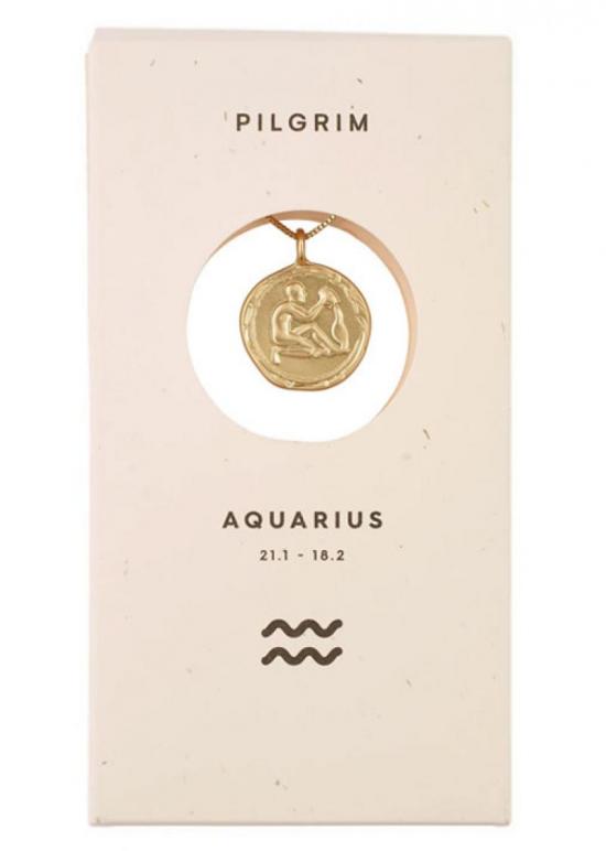 aquarius zodiac gold crystal