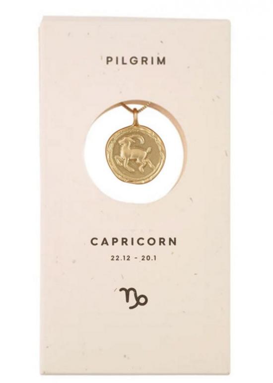 capricorn zodiac gold crystal