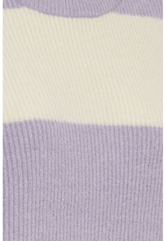 20115690 H.Lilac