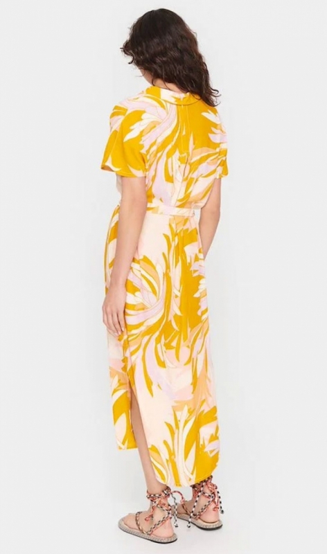 30510404 apricot summer 