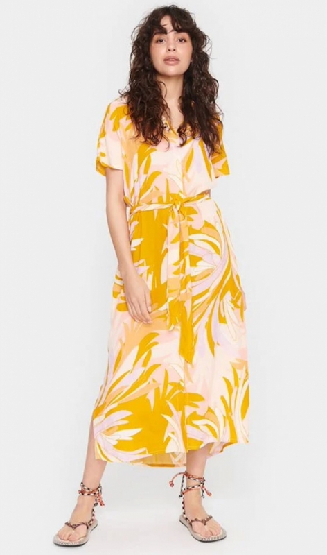30510404 apricot summer 