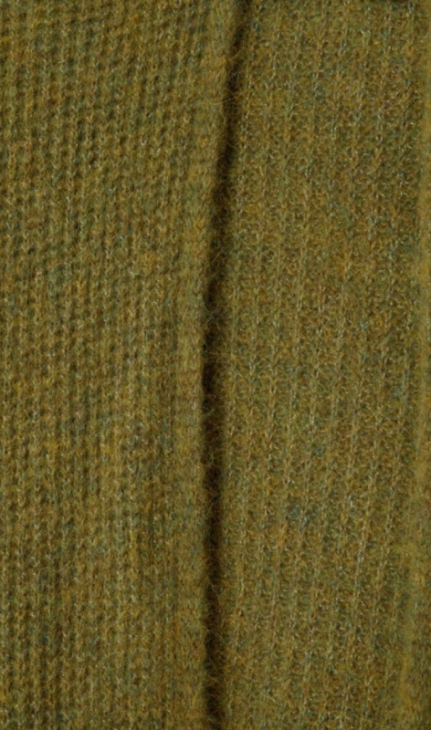  kiwi chine