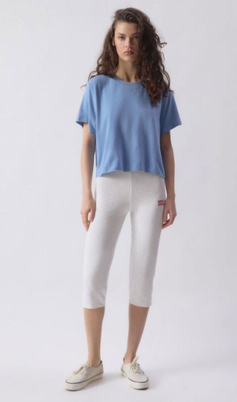  bleu chine
