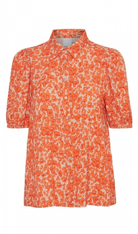20120978 coral rose leo