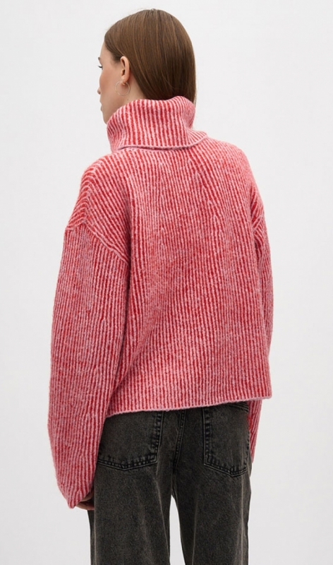 50529877 red rose stripe