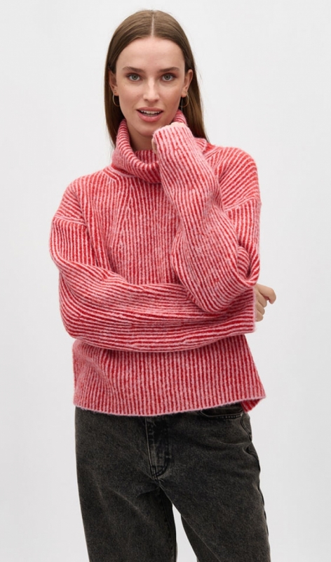 50529877 red rose stripe