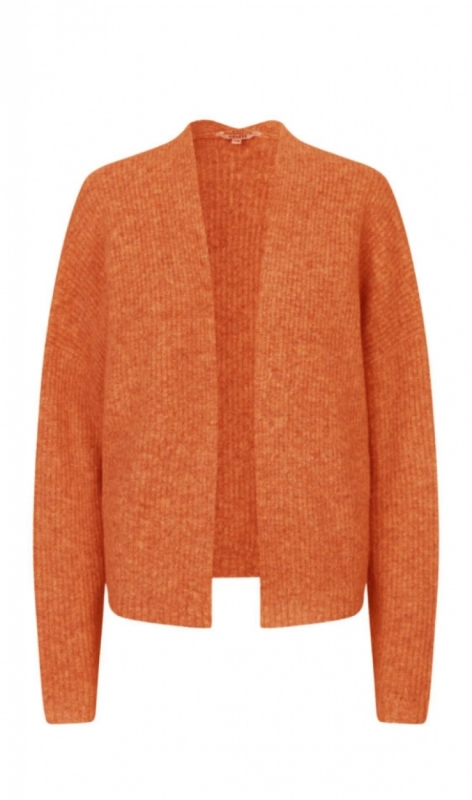 50529813 tangerine tango