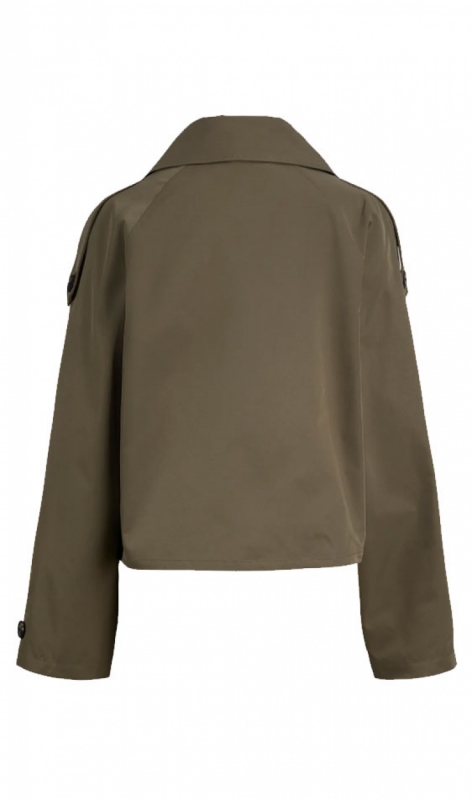 12248654 dusty olive
