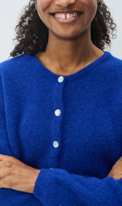 bleu royal