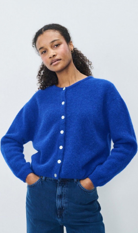 bleu royal