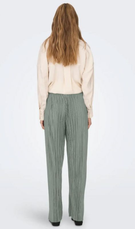 15318505 agave green
