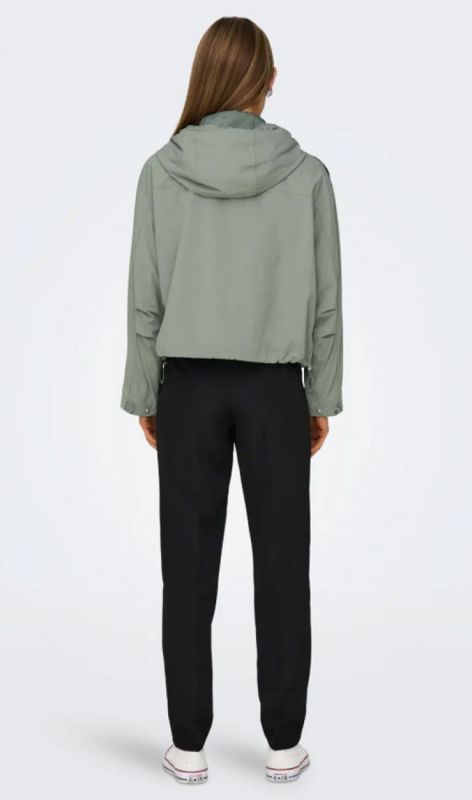 15308621 hedge green