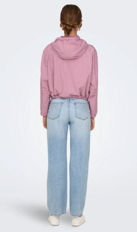 15308621 lilas