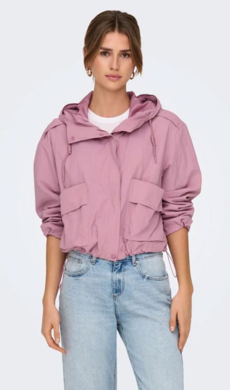 15308621 lilas