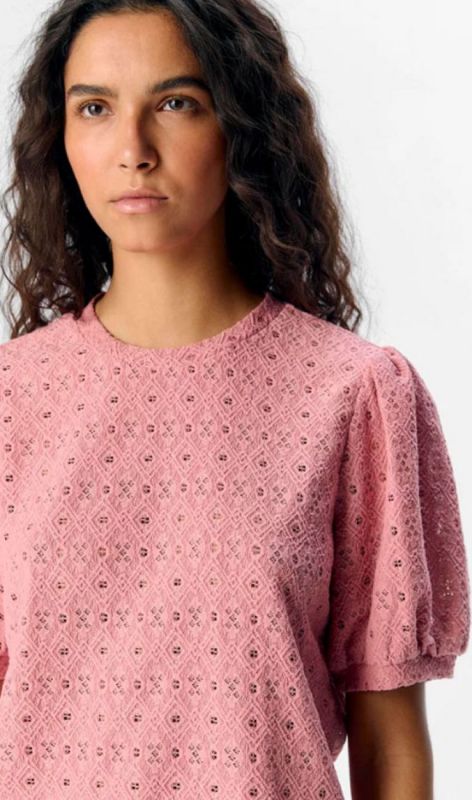 23045729 rose elegance