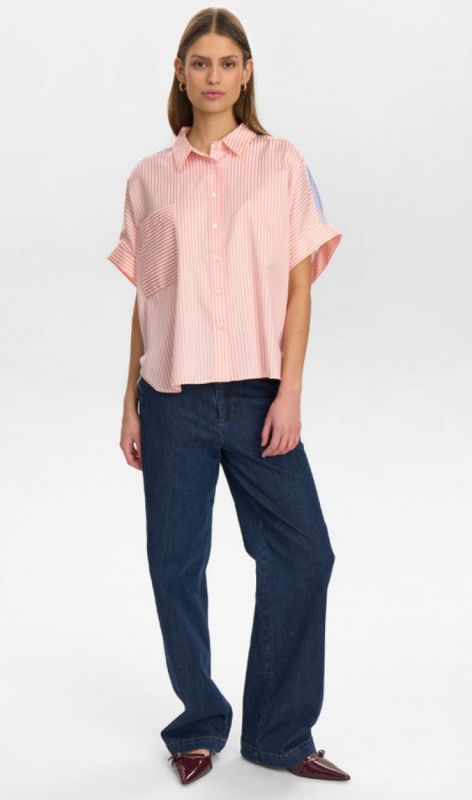 705226 pink carnation
