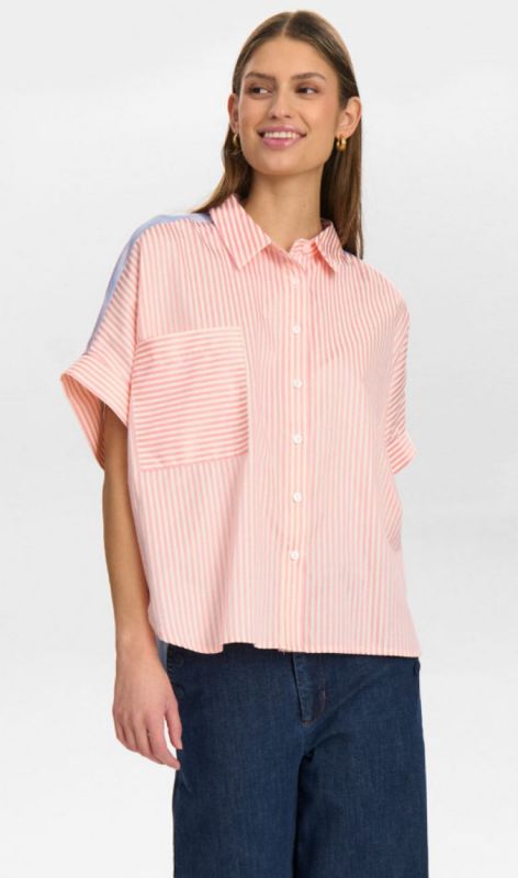 705226 pink carnation