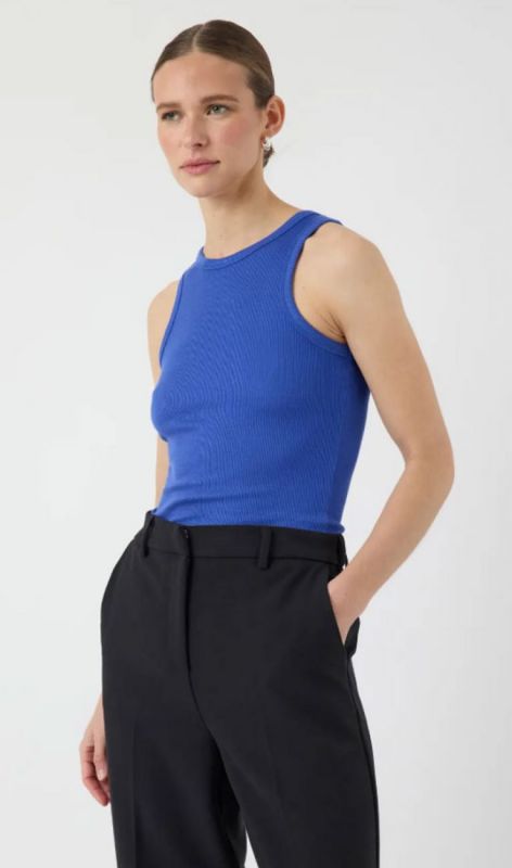 26026679 dazzling blue