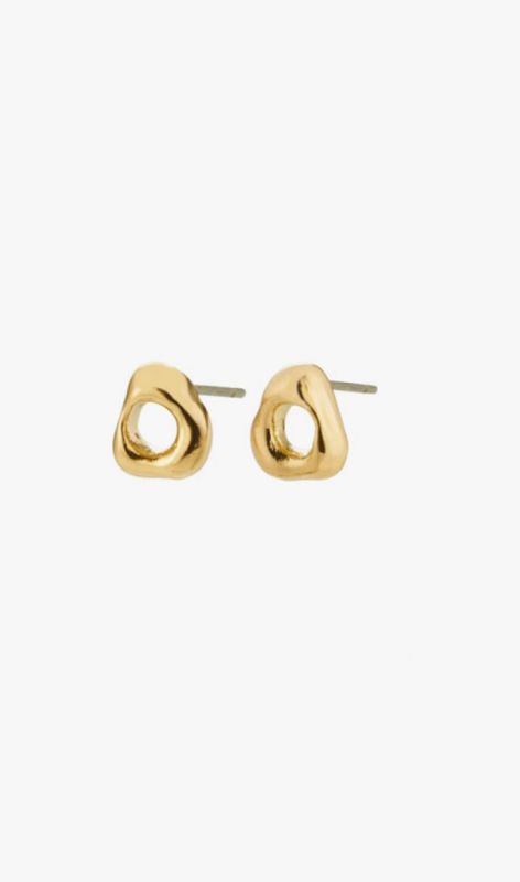262532013 gold