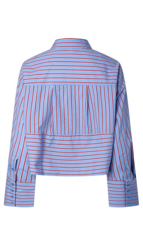 26039821 vista blue goji