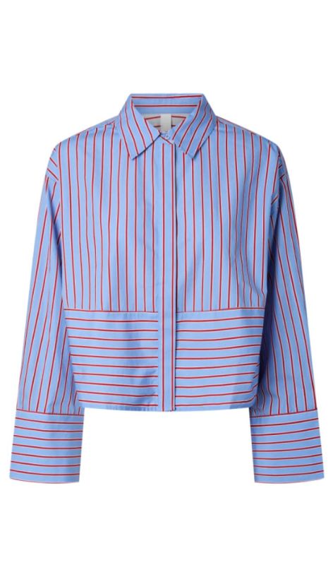 26039821 vista blue goji
