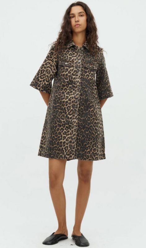 64330994 leopard mist