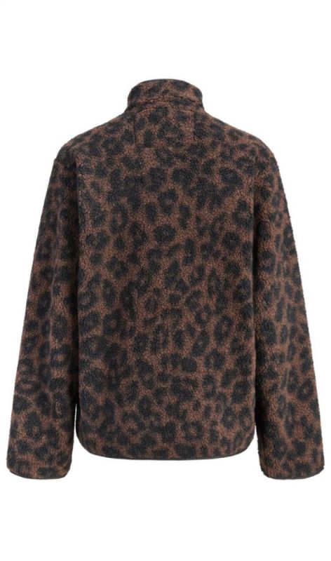12272583 seal brown leo