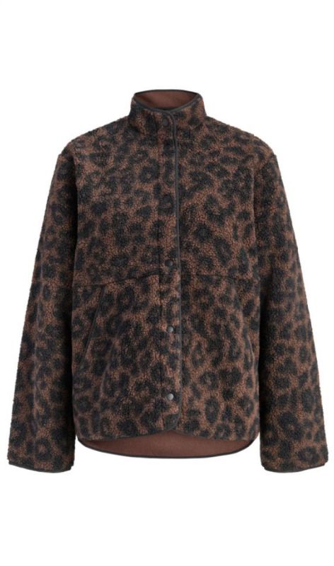 12272583 seal brown leo