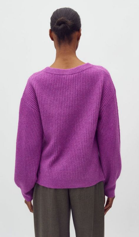 46328248 cattleya orchid