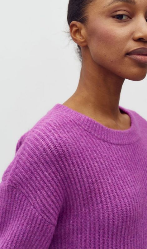 46328248 cattleya orchid