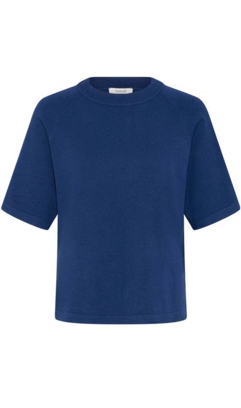 20818475 medieval blue