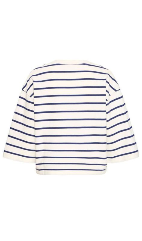 20818628 medieval stripe