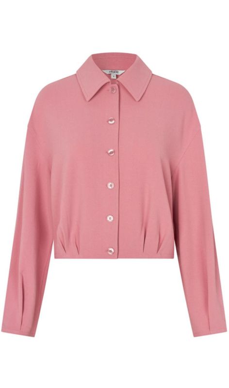 49991104 wild rose