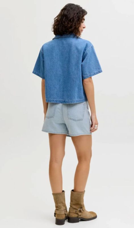 12269114 light blue den