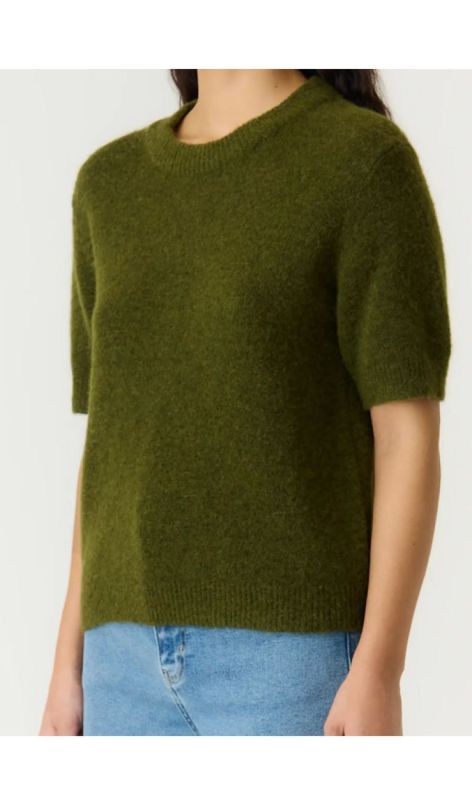 26040997 fir green
