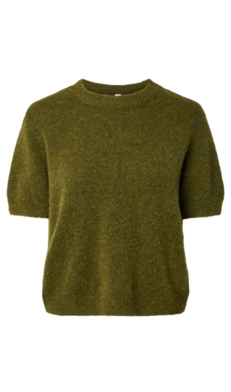 26040997 fir green
