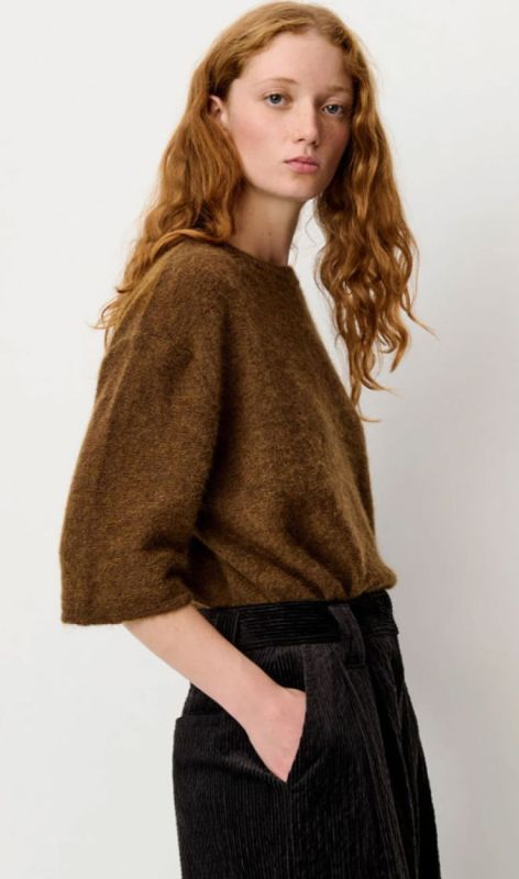24609005 tiger eye