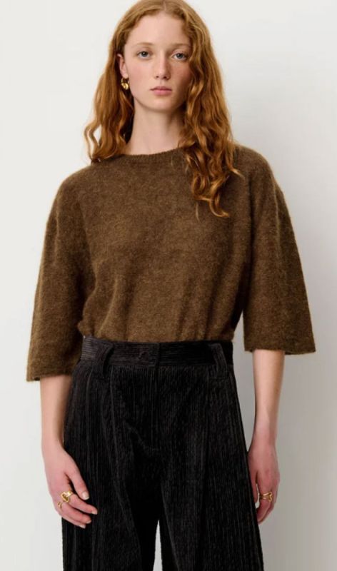 24609005 tiger eye