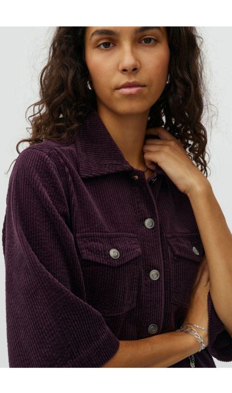 59851314 deep purple