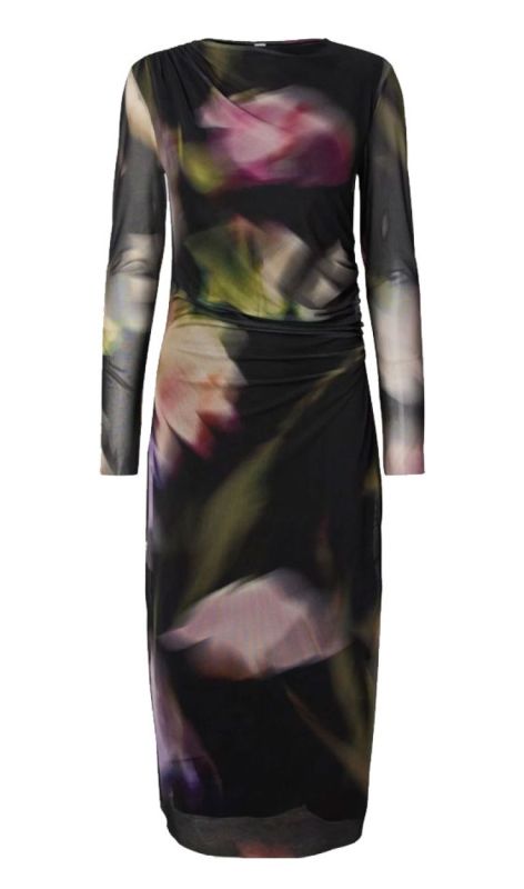 26041682 black shama pr